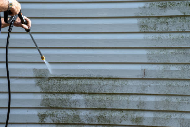 Reliable Reed City, MI Junk Removal Solutions