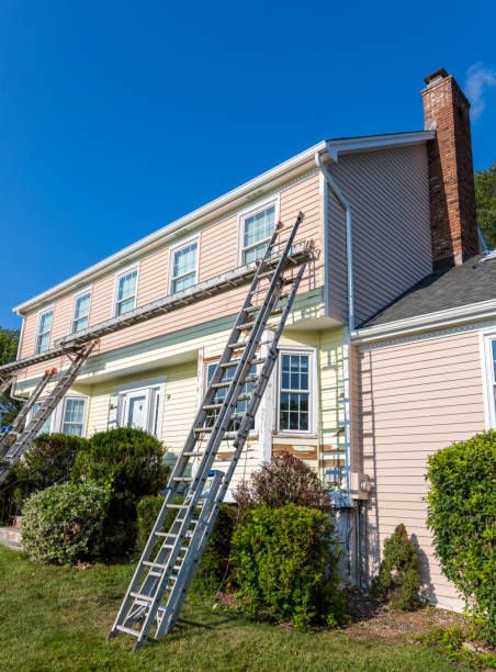 Best Construction Debris Removal  in Reed City, MI