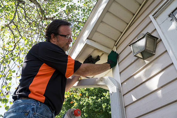 Best Attic Cleanout  in Reed City, MI